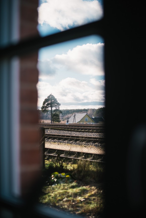 "Miško uostas" - foto: Lina Jushke / "Lamų slėnis"